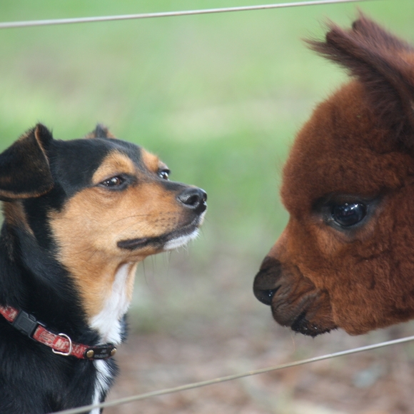 Meet your Posher, Kristen - Picture 5 of 7